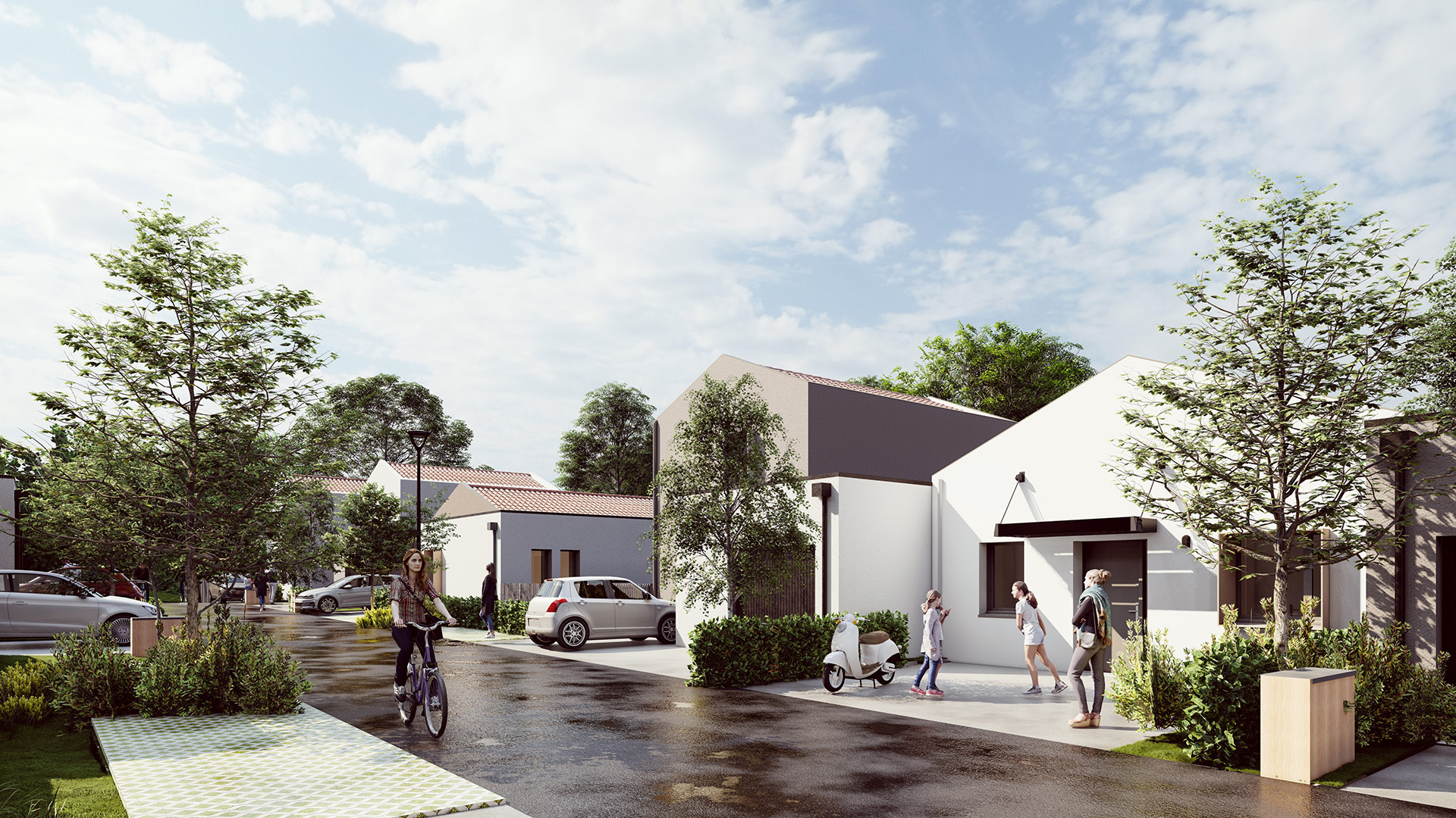 Image 1 sur 2 du lot